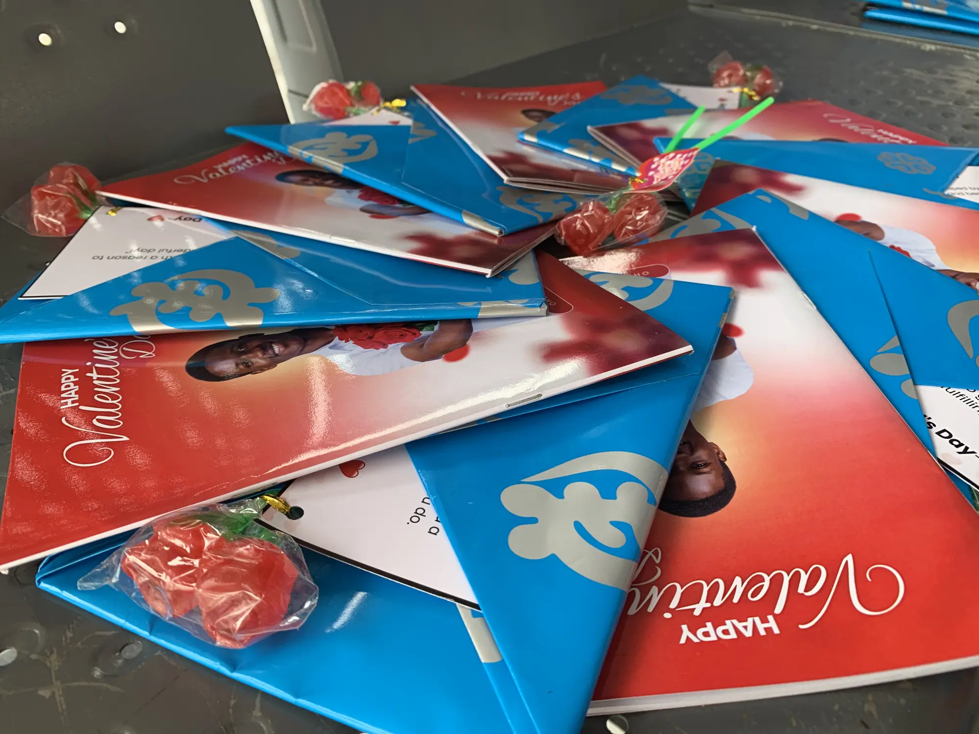 Valentine's Diary project photo